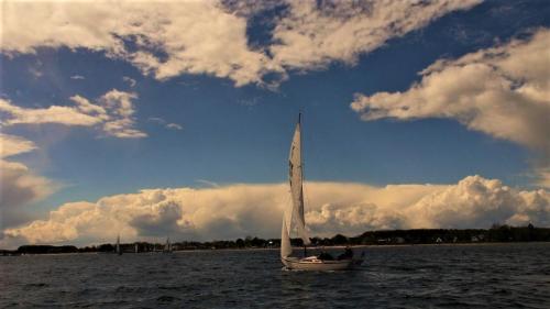 Ansegeln 19_2